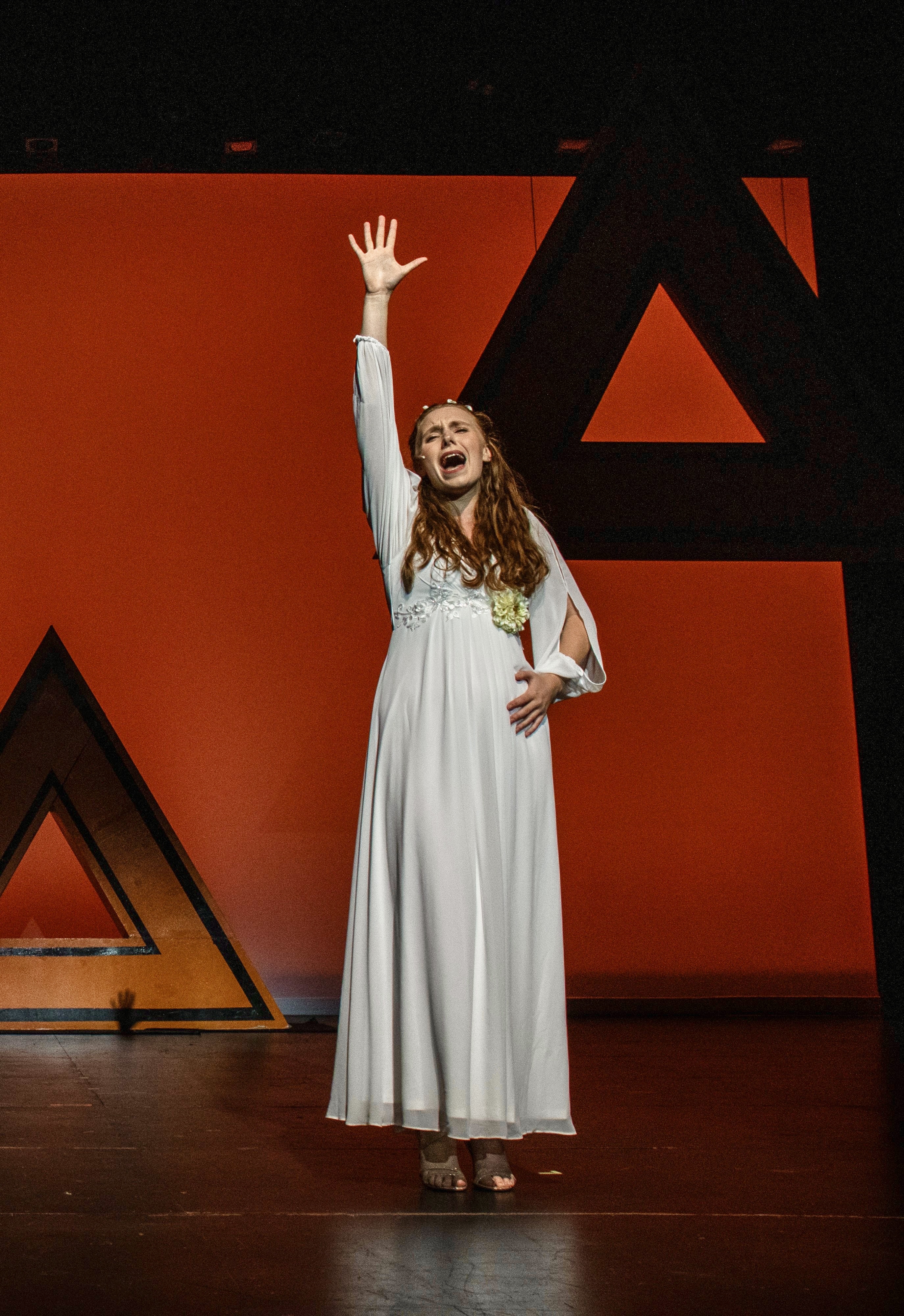 Production photo from Princeton Triangle Club